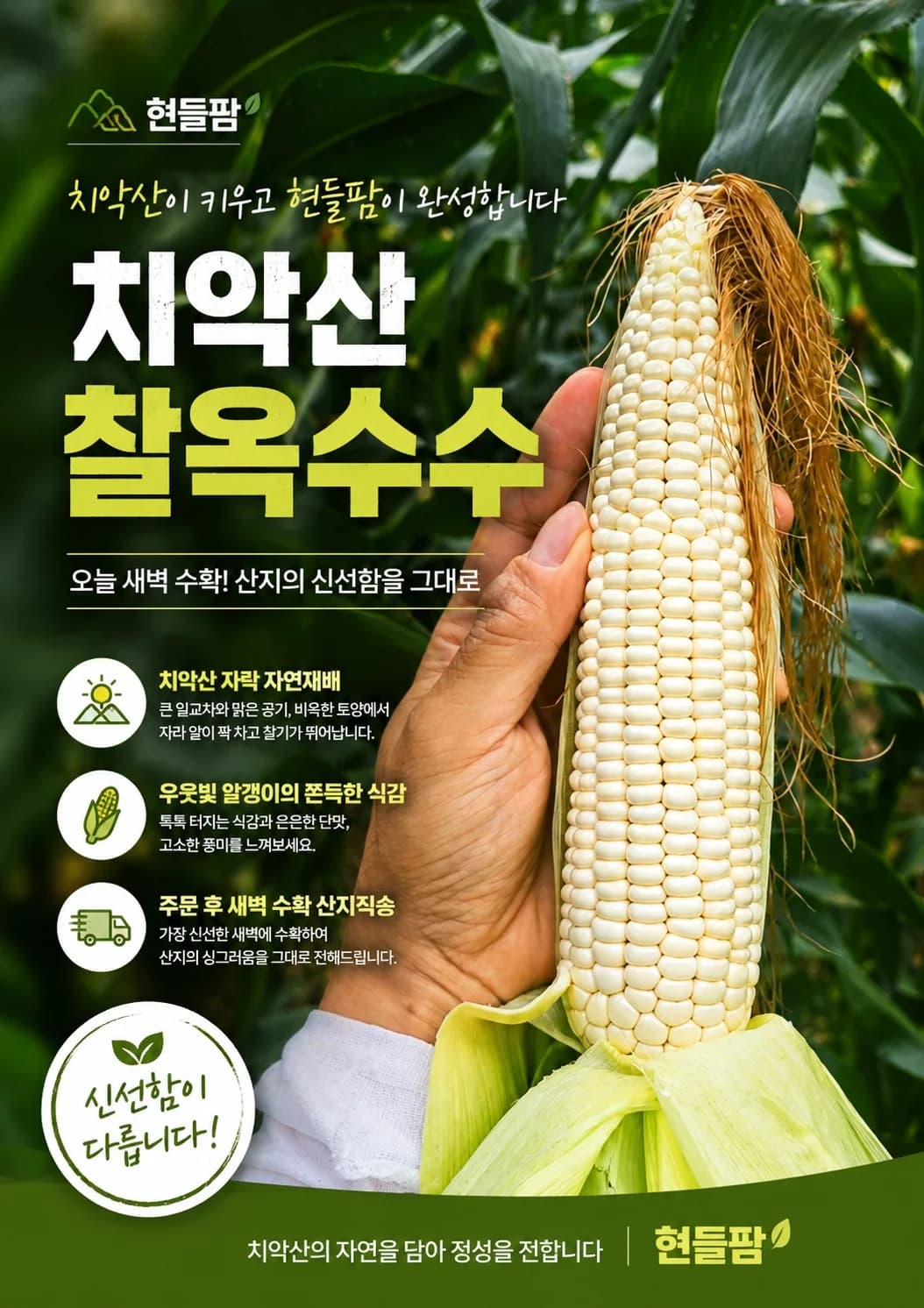 옥수수