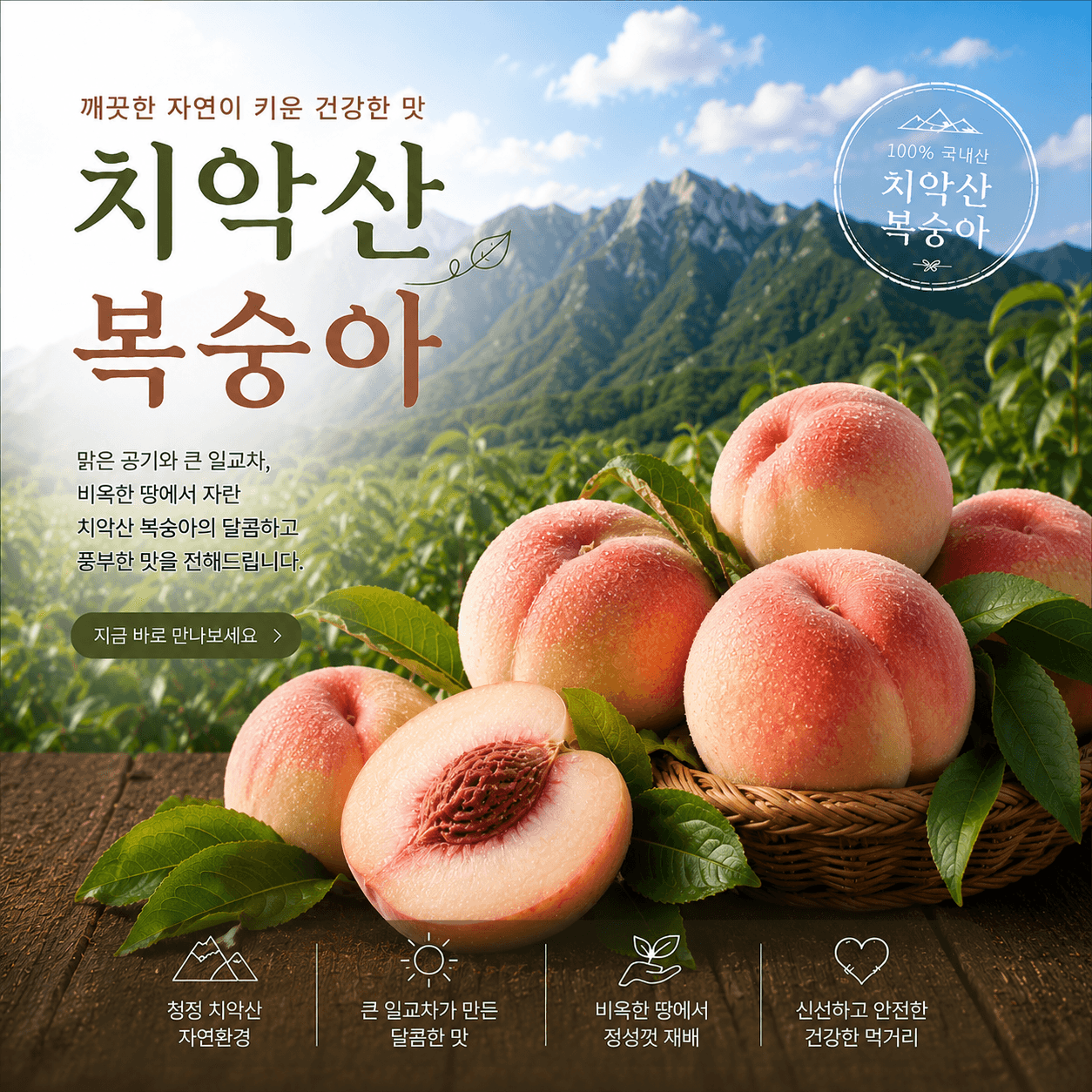 치악산 복숭아