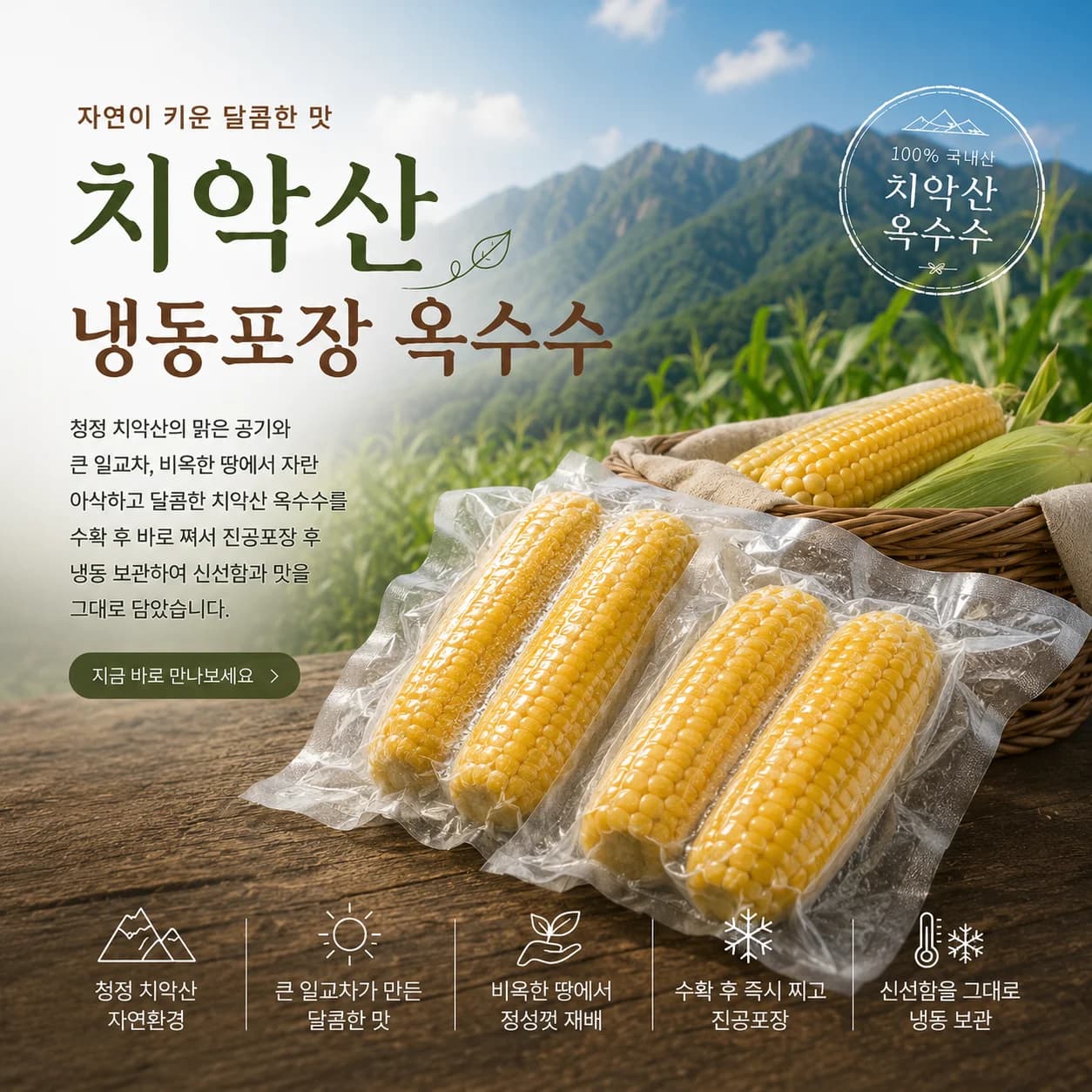 치악산 냉동 찰옥수수 (미백)